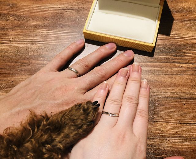 桜合わせの刻印と裏面には真ん中の手の愛犬の刻印が入ってます