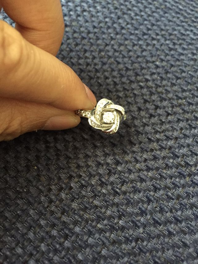 アバピヴォワンヌです。カメリアのお花が美しいです。