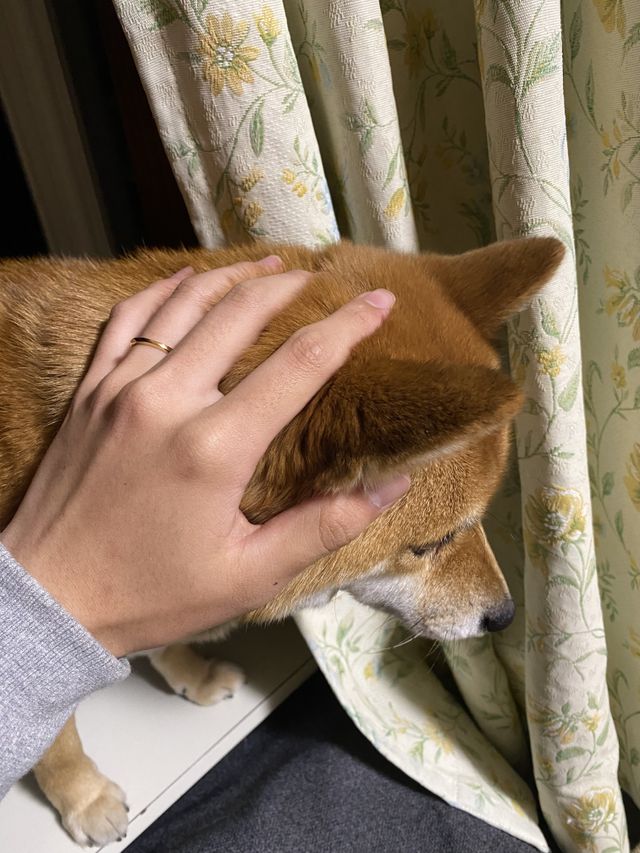 サイズデザイン良しです