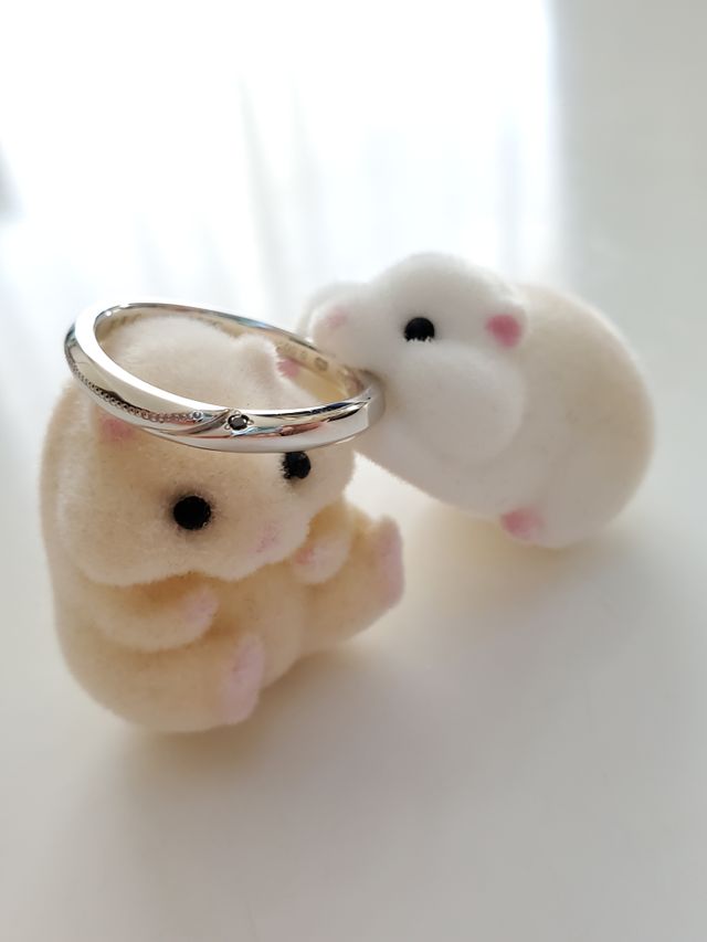 男性用の指輪です。