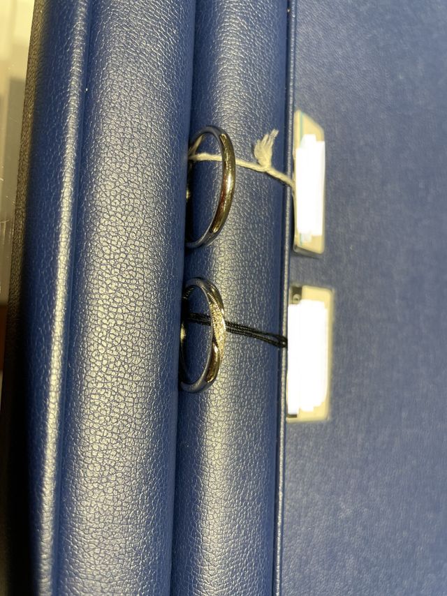 右手が今回契約したサンドリヨンです。