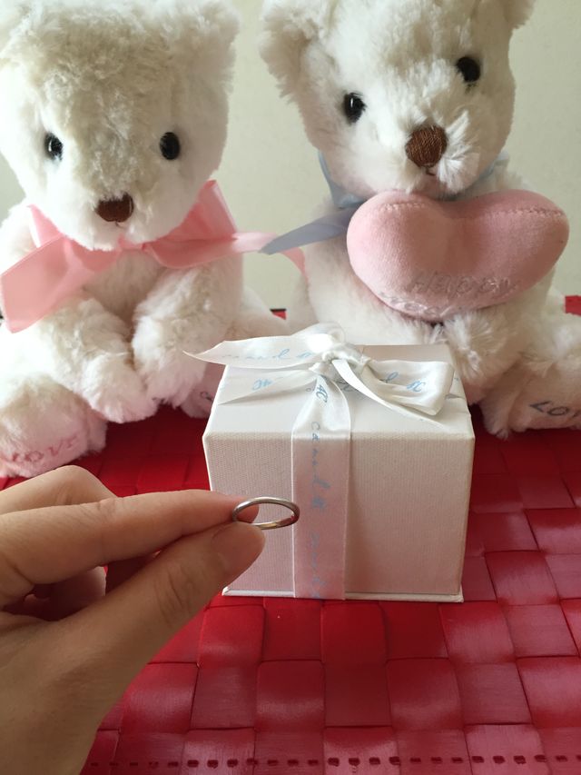 購入特典のぬいぐるみと一緒に。