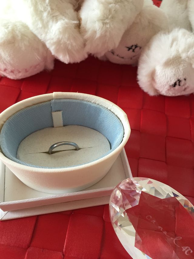 購入時のケースに入れて。