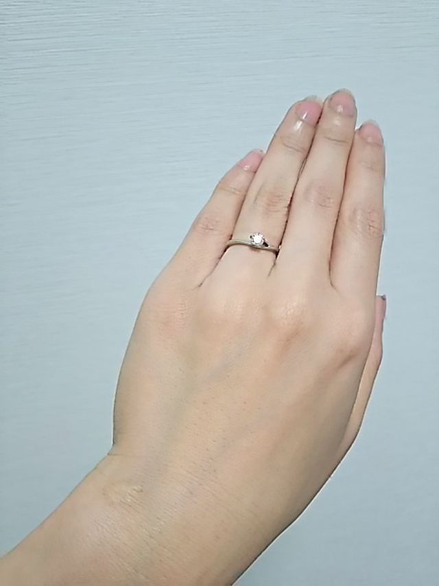 全体のイメージ