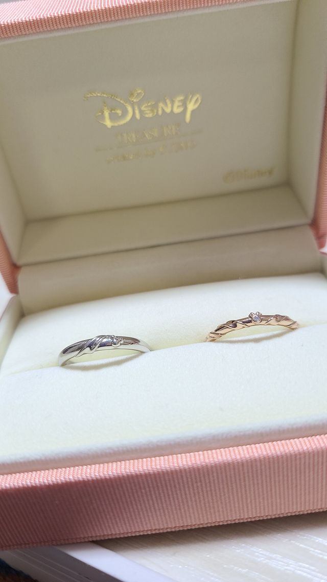 Mickey&Minnieと
リボンを巻いたようなデザイン