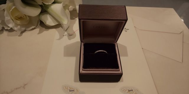 ブリジットDR17を購入。キラキラしてて綺麗です。