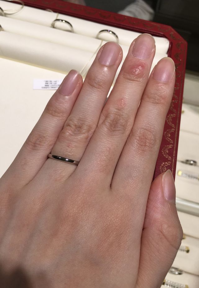 とてもシンプルなデザインでした。