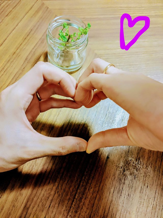 しあわせです！