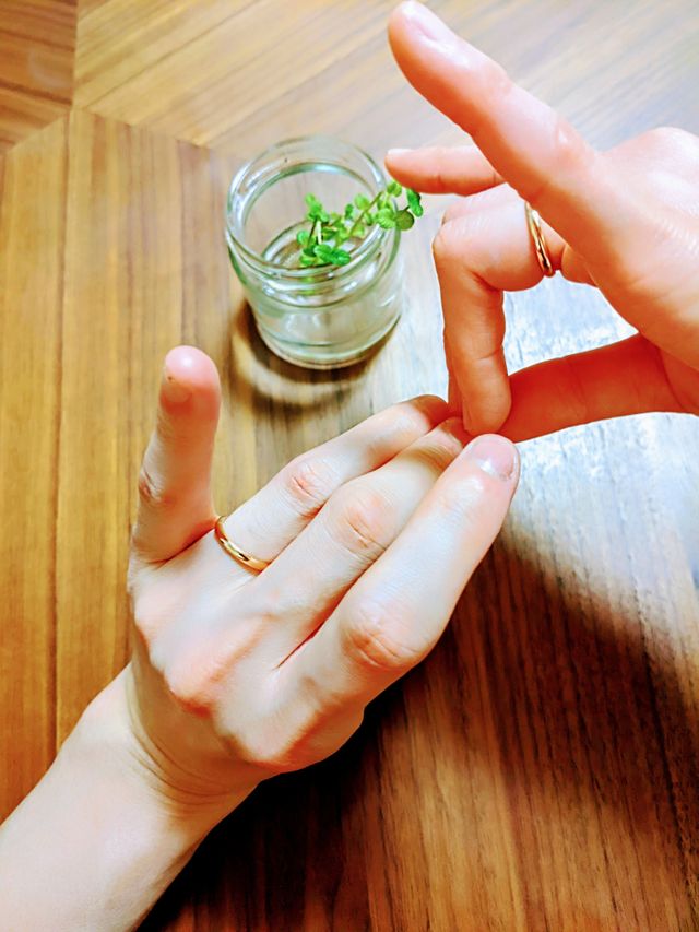 狐の嫁入り　コーン！