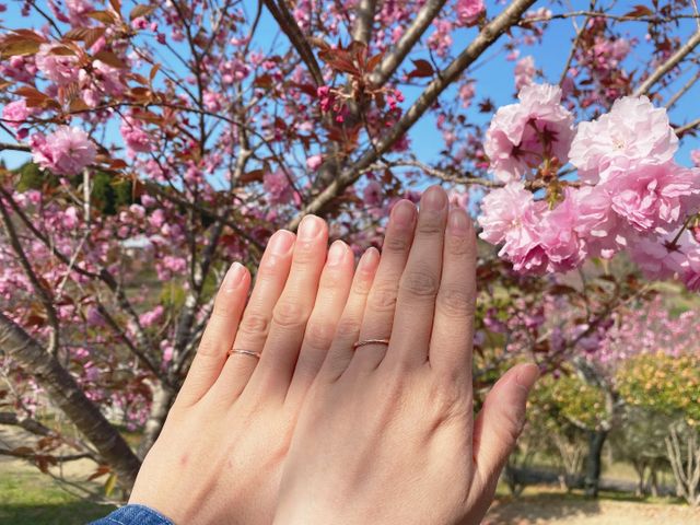 買った次の日あたりに桜の綺麗な公園で撮影