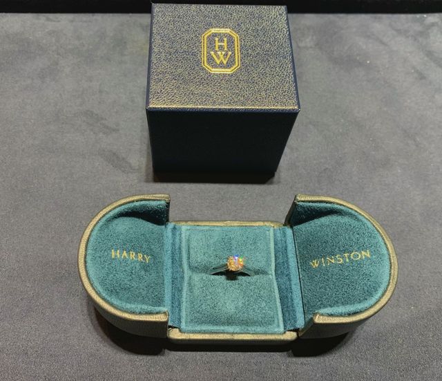 購入したものです。