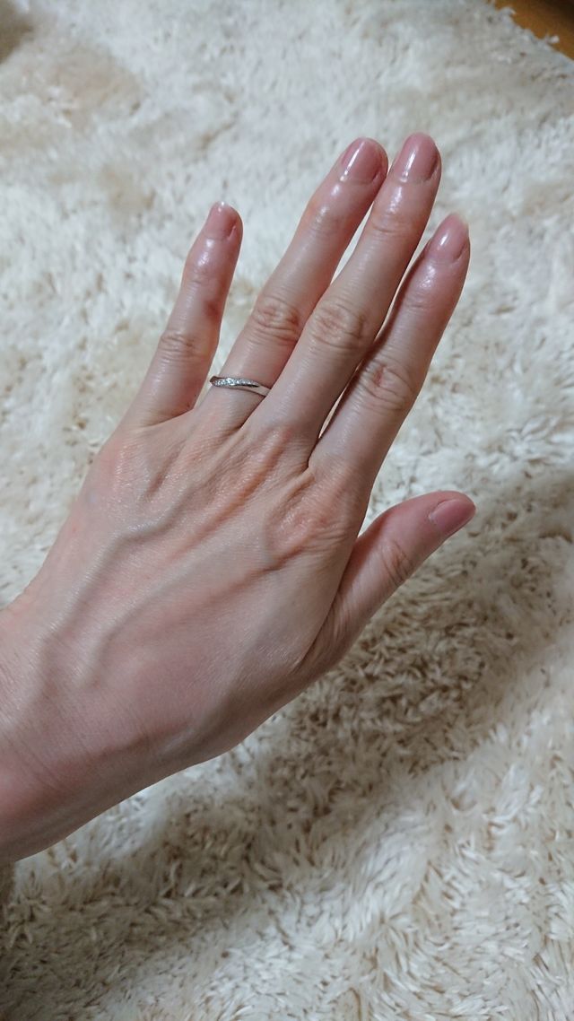 お気に入りになりました！