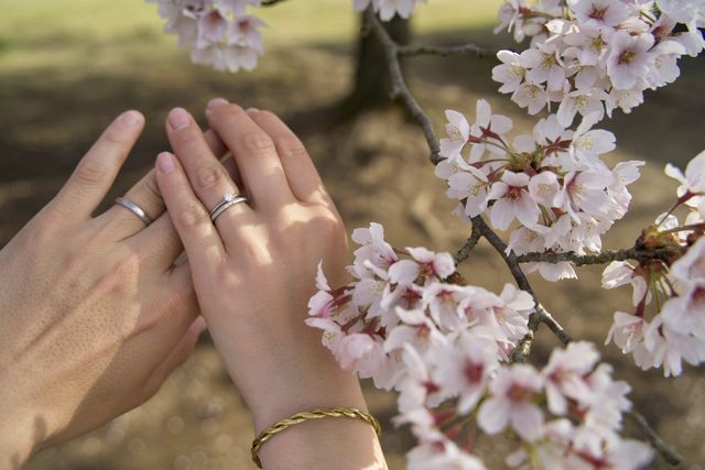 桜にも合う巴の指輪。