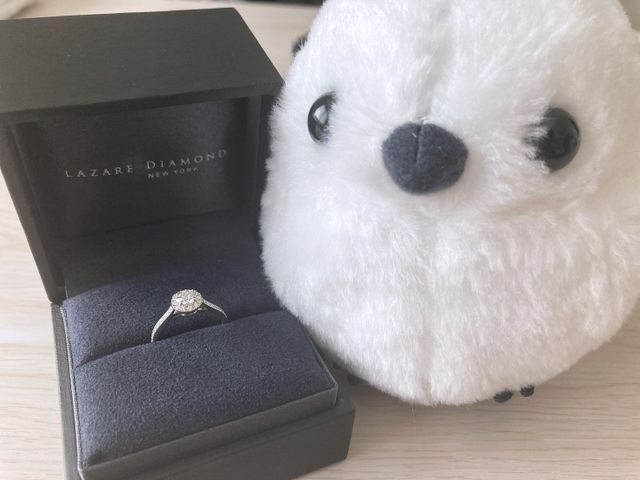 リングとシマエナガ