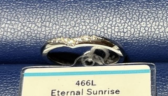 購入したエターナルサンライズです。