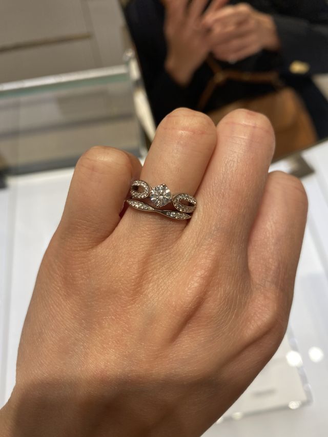 ブシュロンポンドゥパリとの重ね合わせ