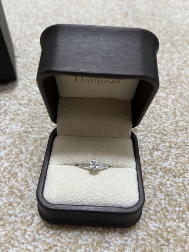 ケースに入れた状態です。