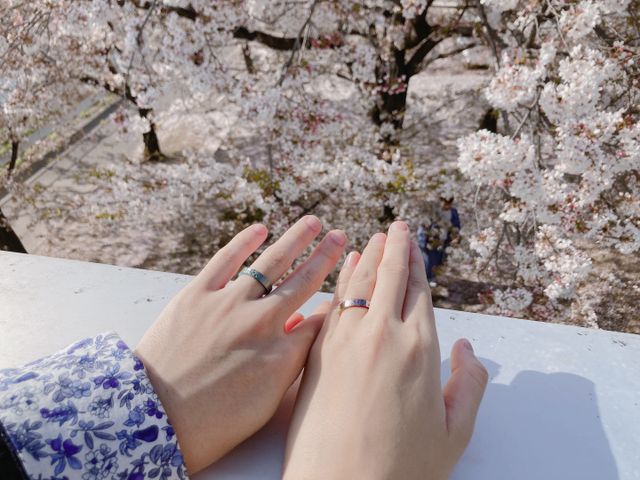 お出かけした時の写真