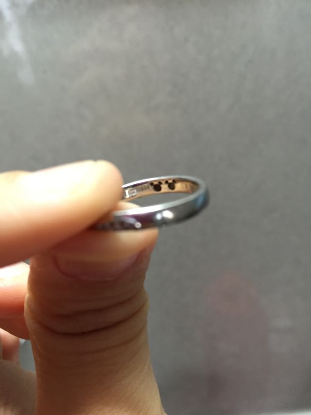 別の角度からの隠れミッキー。