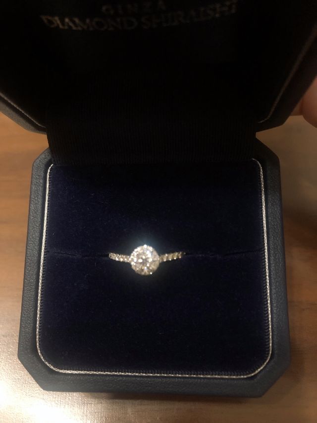 ケース入りの写真です。