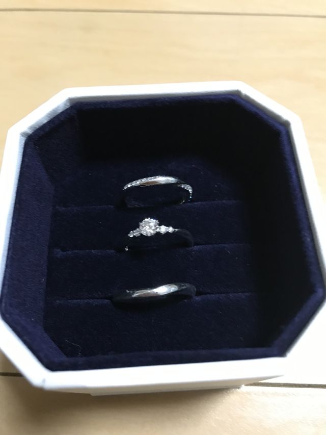 専用ケースに入れて見ました