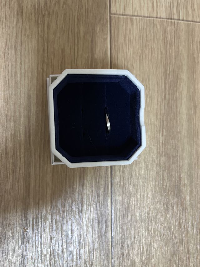 ペア用のケースに入れた状態。