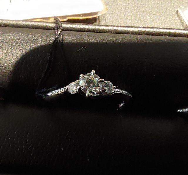 正面から(暗くてすみません)