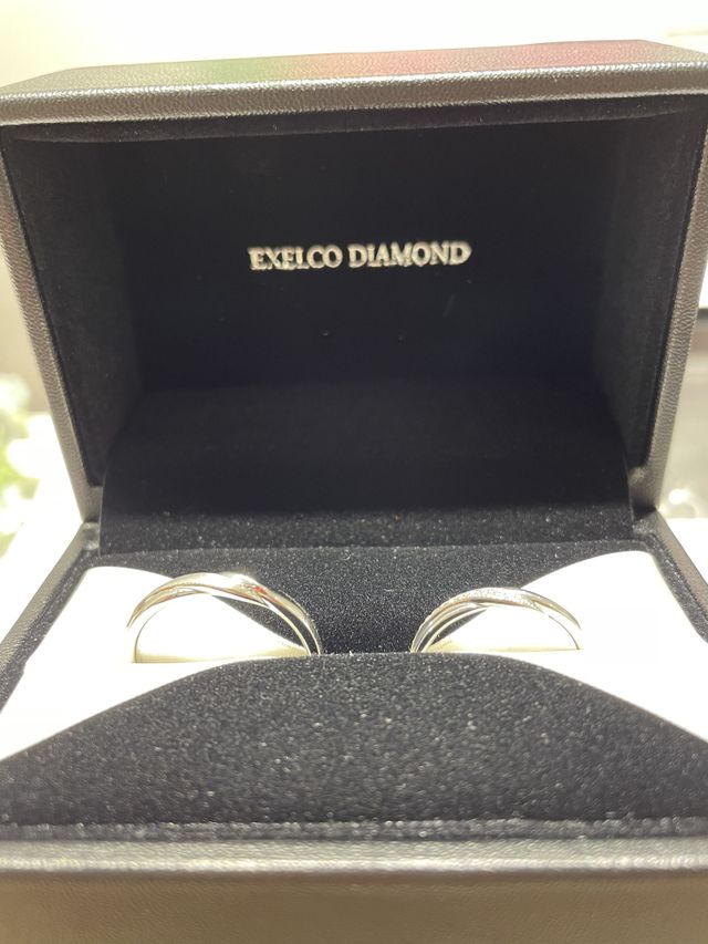 一目惚れして購入したベルファビオラです。