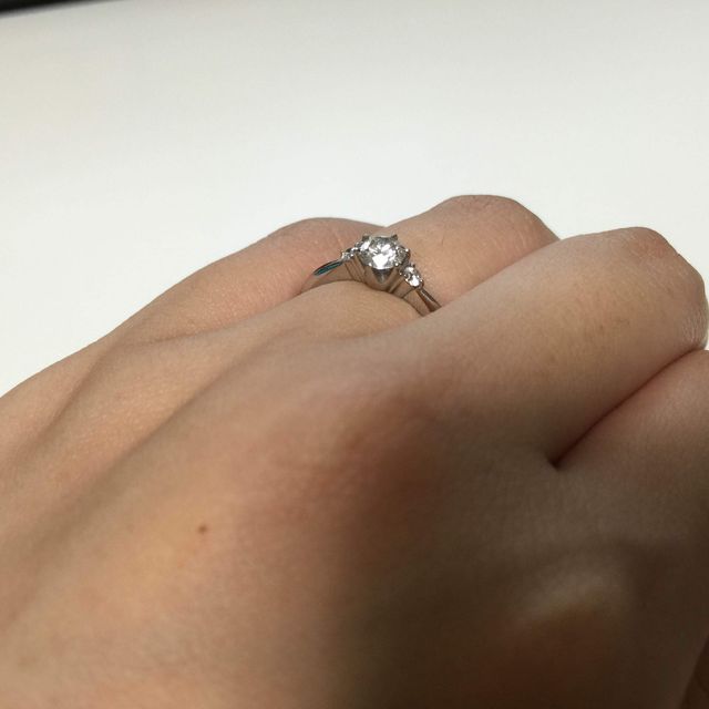 嵌めてみた場合。