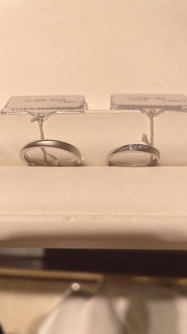 1番最初に見に行って気に入ったデザイン。