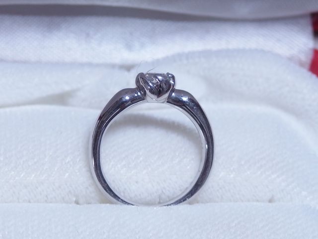 爪がちょっと変わってて花の形になってます。