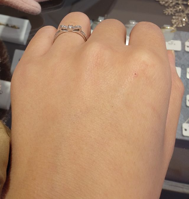 横から見たイメージです。