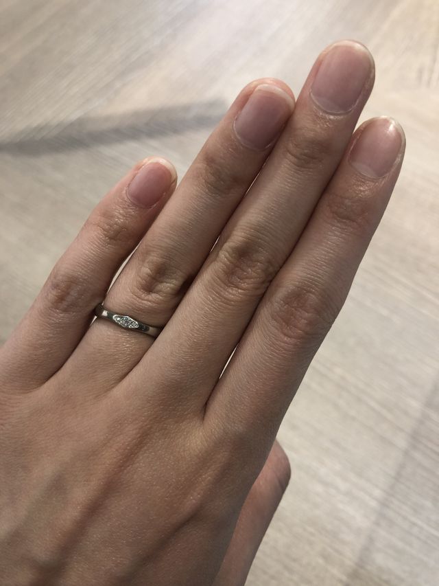 ホライズンというデザインです。