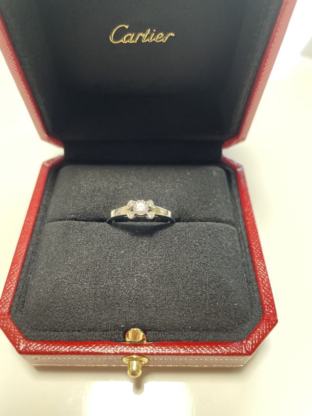 バレリーナを購入いたしました。