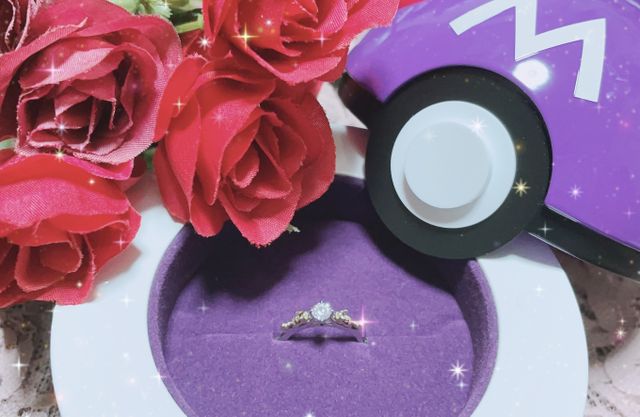 キャンペーンでいただいた、マスターボール型ケースに入れました