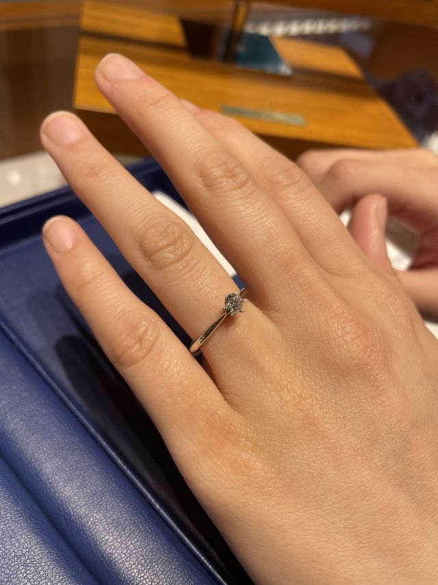 爪が若干太いタイプ