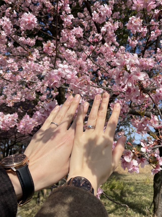 婚約指輪と重ね付けして存在感抜群！桜と一緒に撮影しました♪