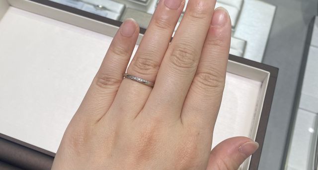 ヘラクレス試着画像