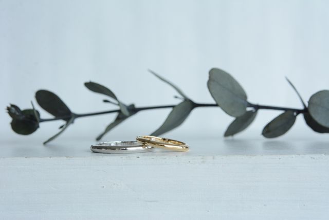 オシャレに撮っていただきました