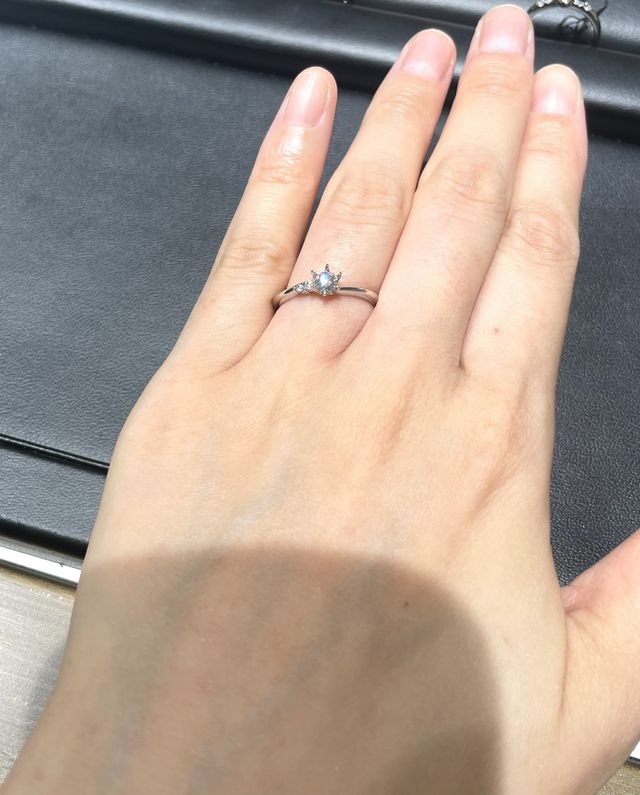 トンプソン　真上からの写真です。