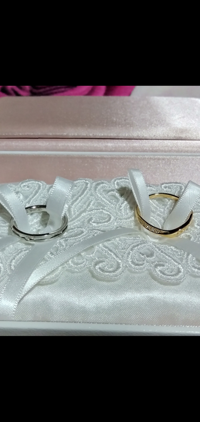 可愛いケースをいただきました。