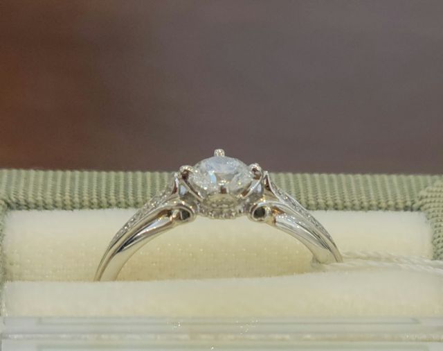 横からのこのアングルが素敵で気に入っています。