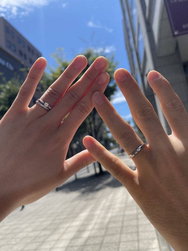 購入して直後の写真です