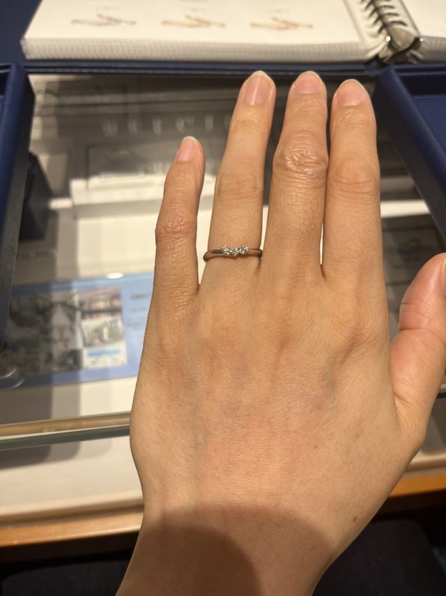 今回購入したプロミティアというデザイン。