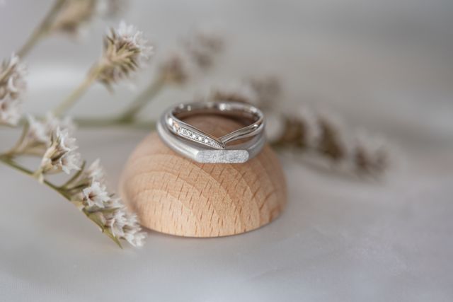 お店からいただいた写真です