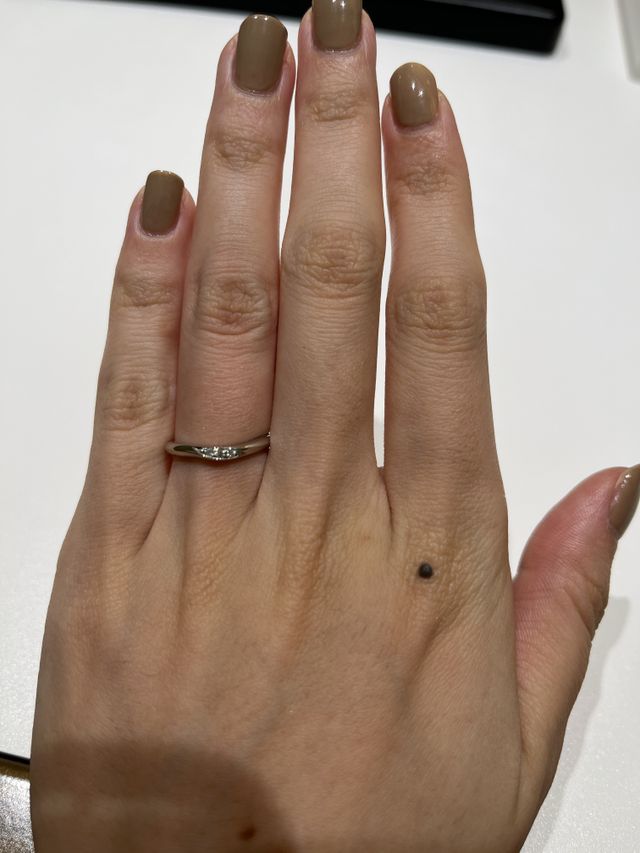 試着した際の写真です