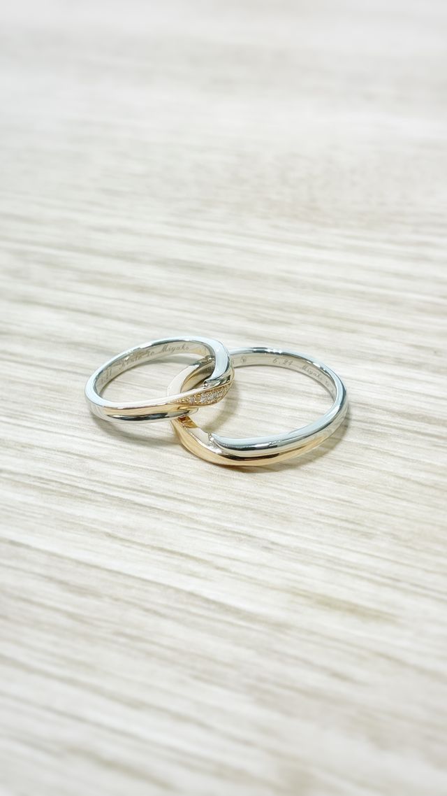 購入したてホヤホヤ