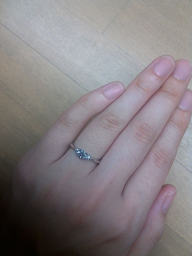 つけた写真です