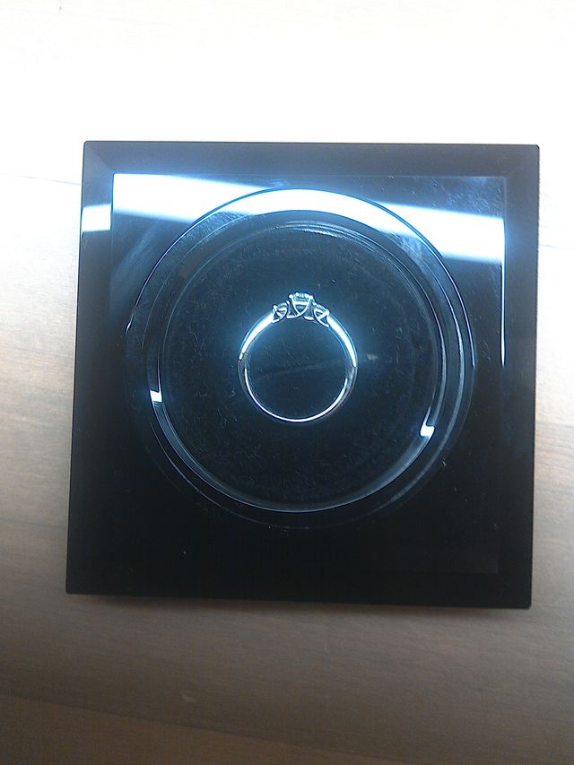 横から見たデザインも気に入ってます