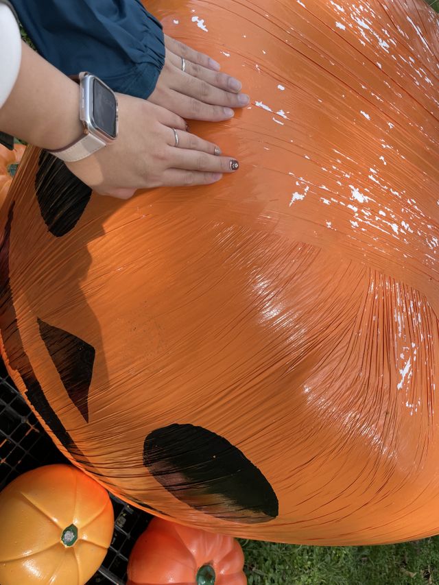 結婚指輪を付けて初めてのお出かけ！